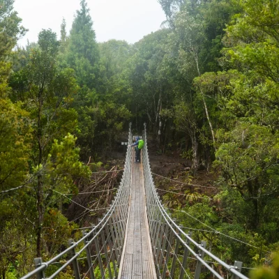 Humpridge Track Gallery 051