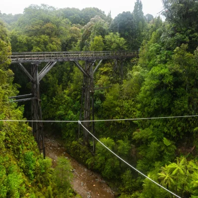 Humpridge Track Gallery 052