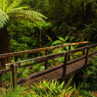 Humpridge Track Gallery 057